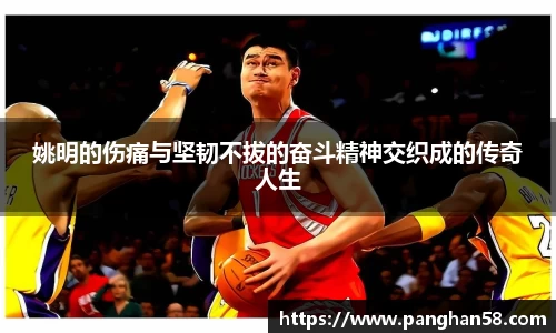 姚明的伤痛与坚韧不拔的奋斗精神交织成的传奇人生