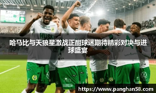哈马比与天狼星激战正酣球迷期待精彩对决与进球盛宴